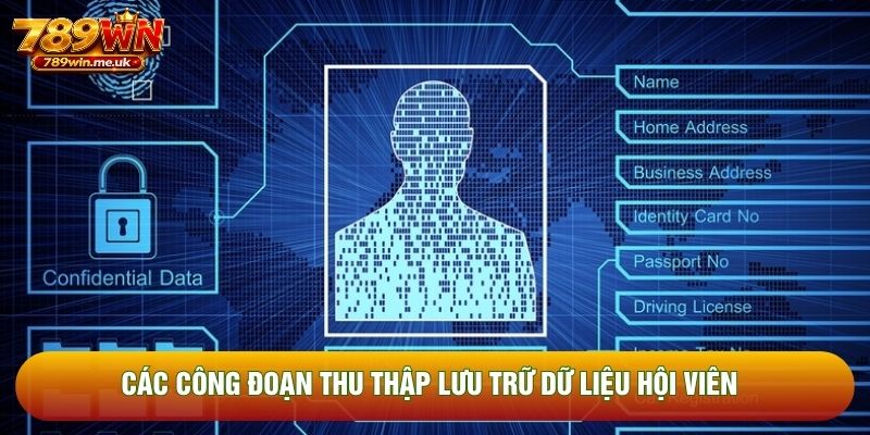 Các công đoạn thu thập lưu trữ dữ liệu hội viên